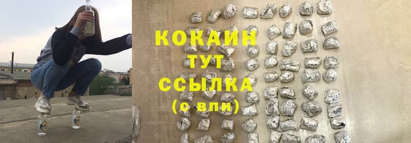 mix Богородицк