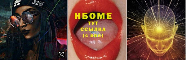молекула духа Богданович