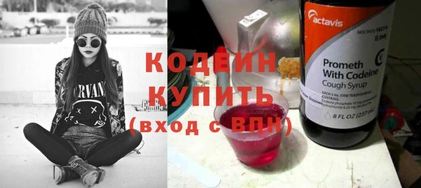 молекула духа Богданович
