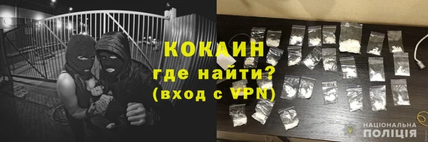 mix Богородицк