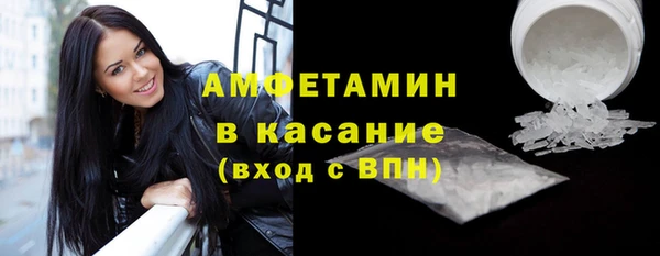 молекула духа Богданович