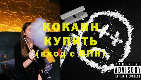 молекула духа Богданович