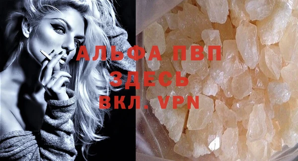 молекула духа Богданович