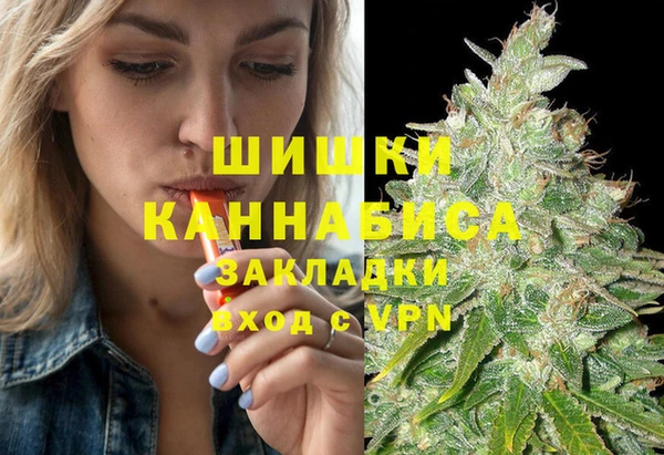 молекула духа Богданович