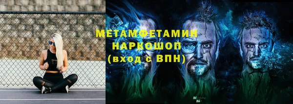 молекула духа Богданович