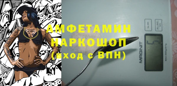молекула духа Богданович