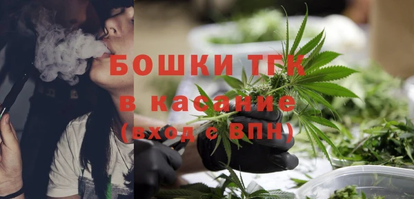 mix Богородицк